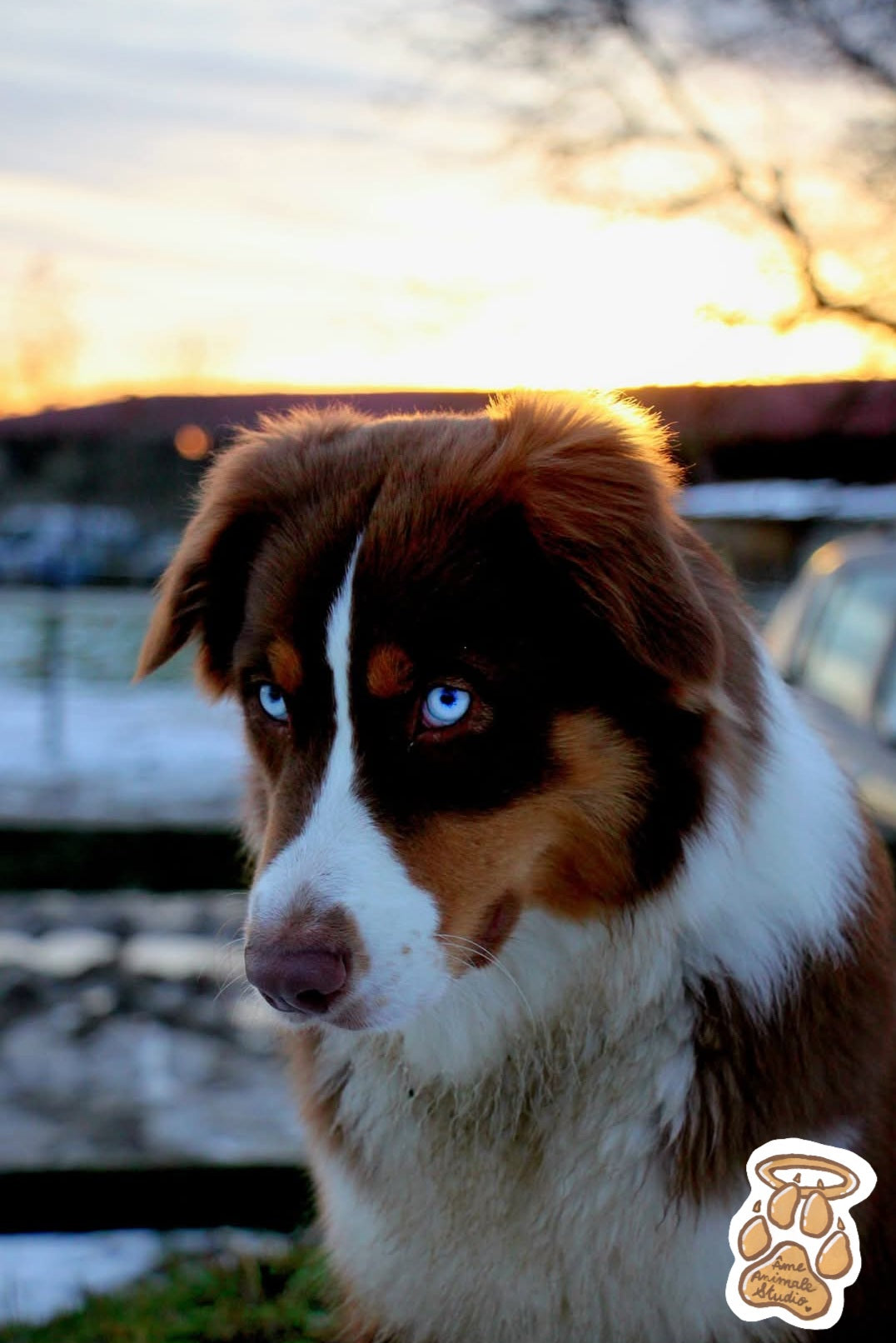 Mini-shooting 📷 10 Photos HD