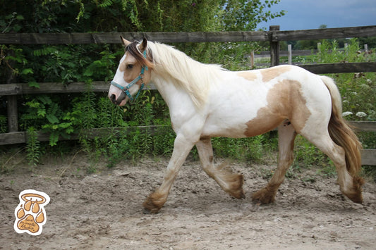 Mini-shooting 📷 Toutes les photos (50/80 photos HD)