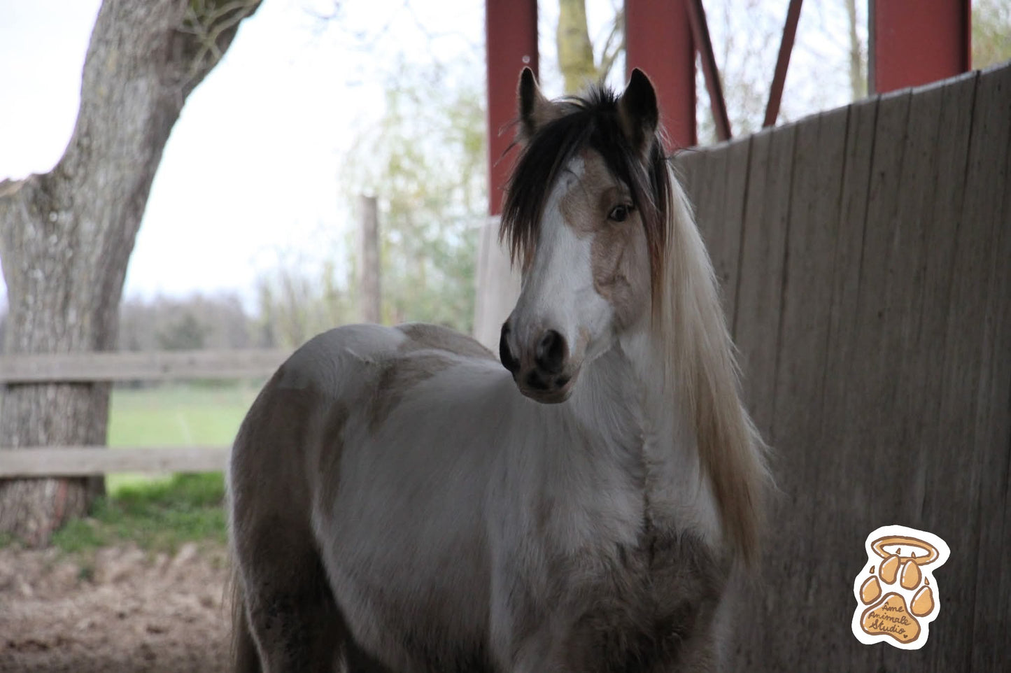 Mini-shooting 📷 10 Photos HD