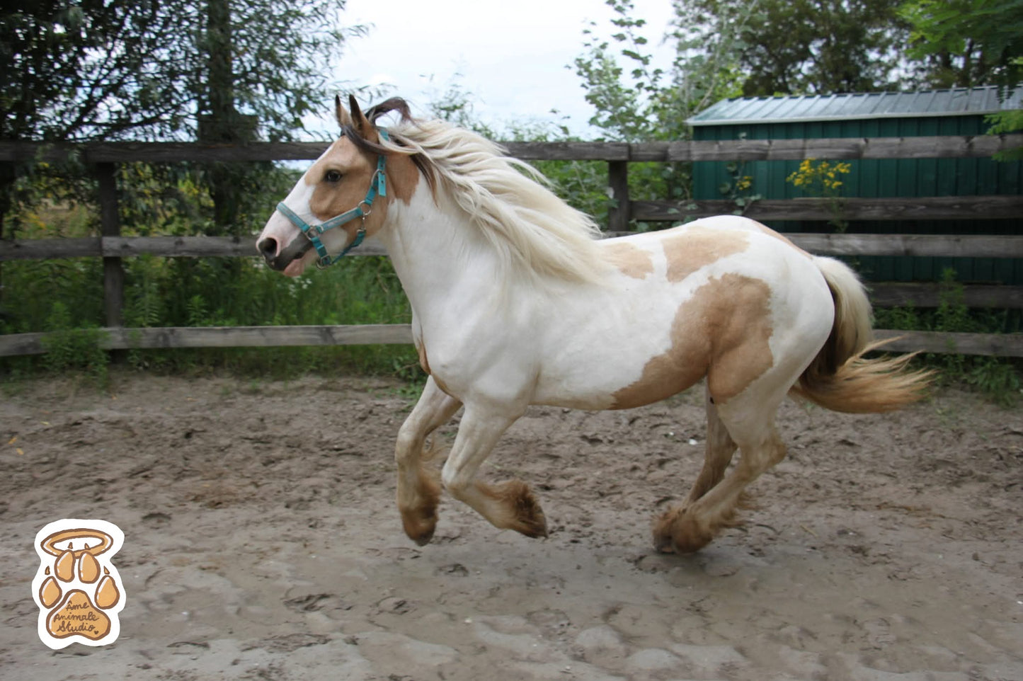 Mini-shooting 📷 10 Photos HD