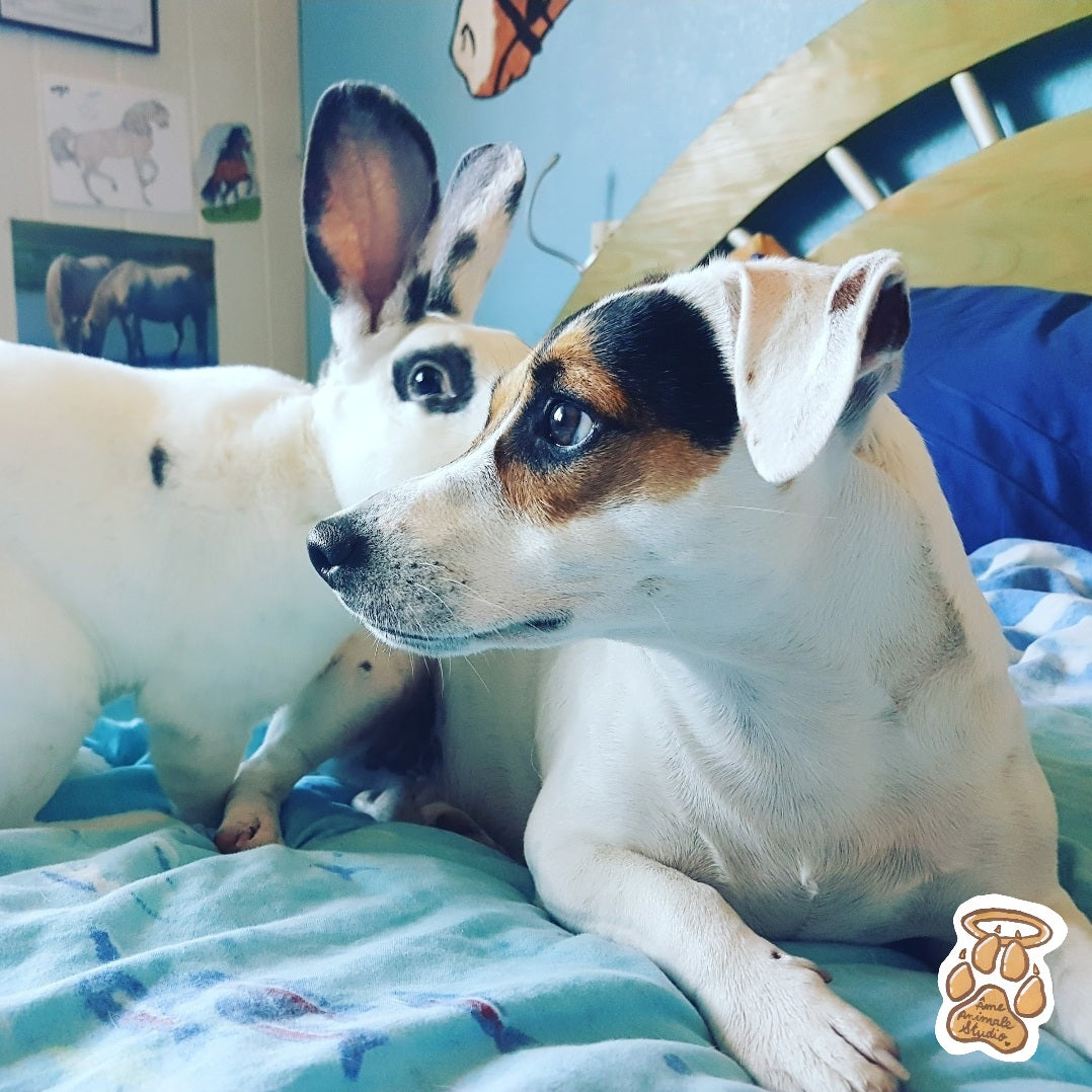 Mini-shooting 📷 10 Photos HD