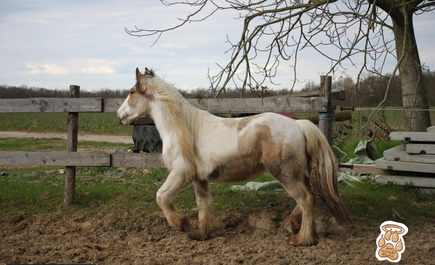 Mini-shooting 📷 10 Photos HD