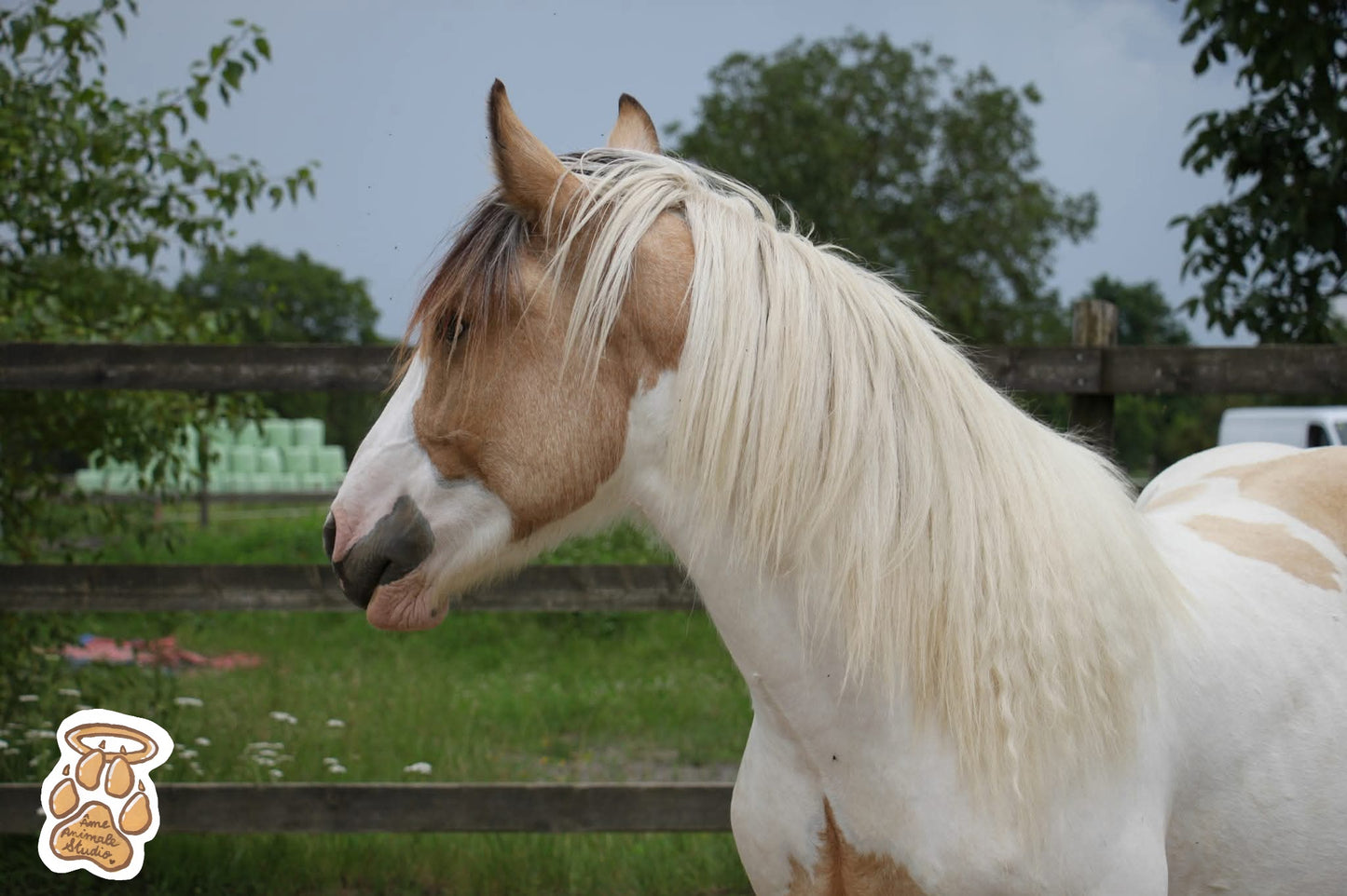 Mini-shooting 📷 10 Photos HD