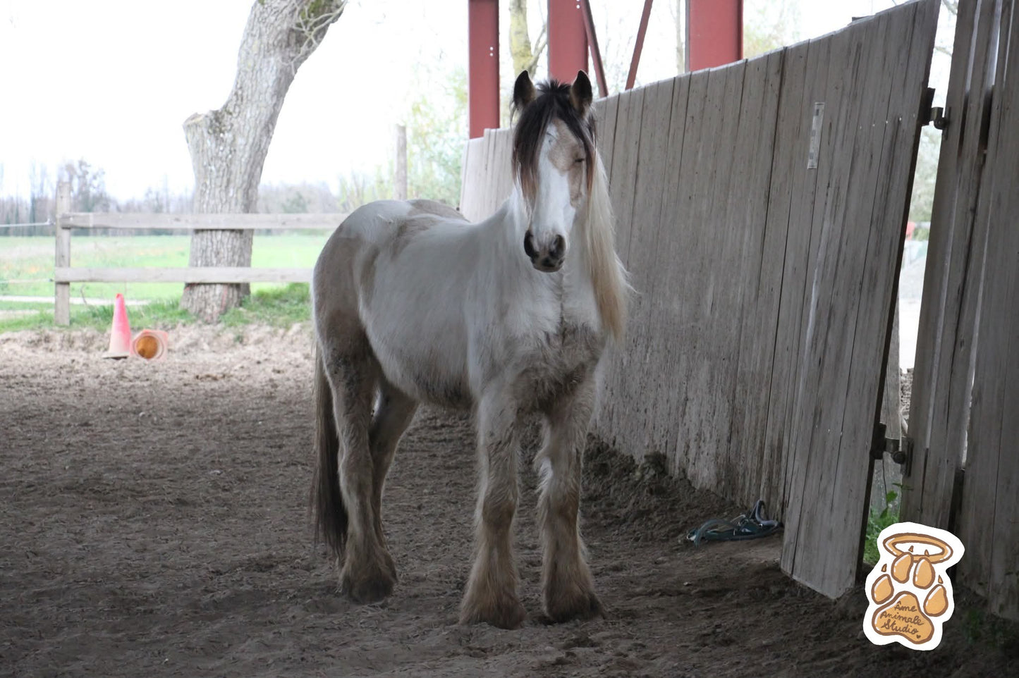 Mini-shooting 📷 10 Photos HD