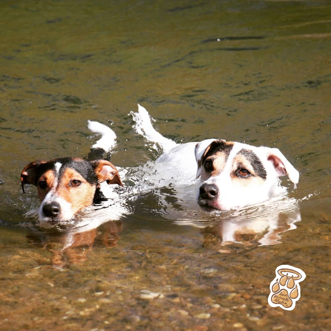 Mini-shooting 📷 10 Photos HD