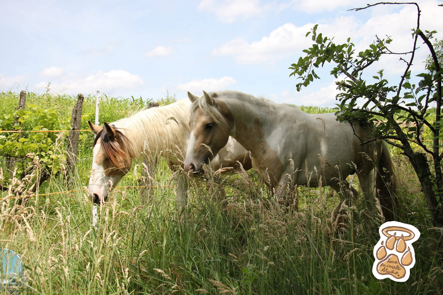 Mini-shooting 📷 10 Photos HD